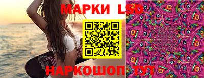 ECSTASY Шебекино