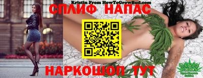 эйфоретик Шахты