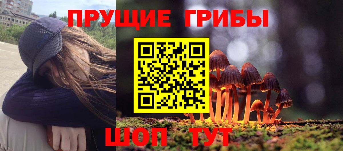 Учалы  Псилоцибиновые грибы прущие грибы  Вход с VPN 